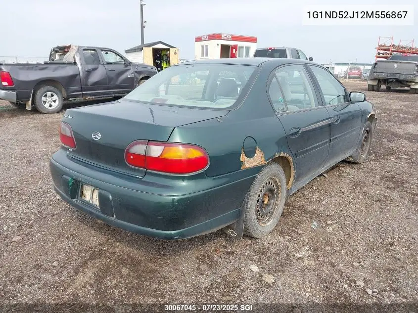 2002 Chevrolet Malibu VIN: 1G1ND52J12M556867 Lot: 30067045