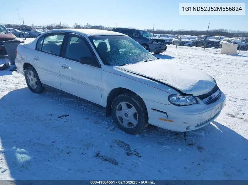 2002 Chevrolet Malibu VIN: 1G1ND52J52M556824 Lot: 41564551