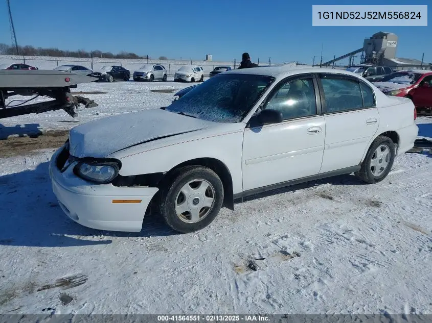 2002 Chevrolet Malibu VIN: 1G1ND52J52M556824 Lot: 41564551