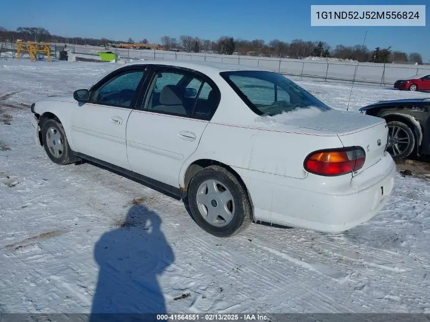 2002 Chevrolet Malibu VIN: 1G1ND52J52M556824 Lot: 41564551