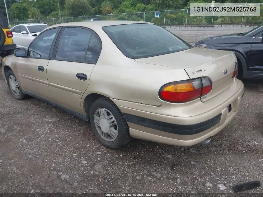 2002 Chevrolet Malibu VIN: 1G1ND52J92M525768 Lot: 42733724
