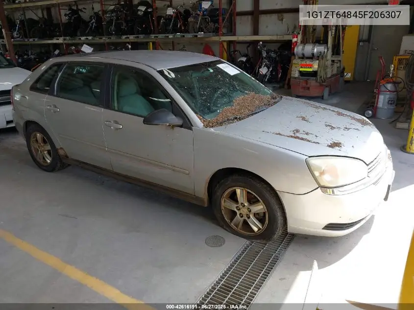 2005 Chevrolet Malibu Maxx Ls VIN: 1G1ZT64845F206307 Lot: 42616191