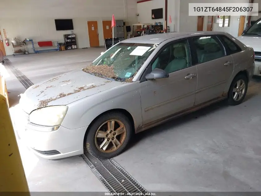 2005 Chevrolet Malibu Maxx Ls VIN: 1G1ZT64845F206307 Lot: 42616191