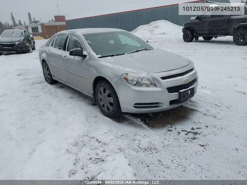 2009 Chevrolet Malibu VIN: 1G1ZG57B99F245213 Lot: 12284034