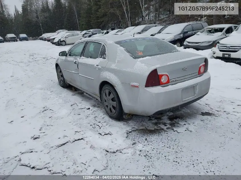 2009 Chevrolet Malibu VIN: 1G1ZG57B99F245213 Lot: 12284034