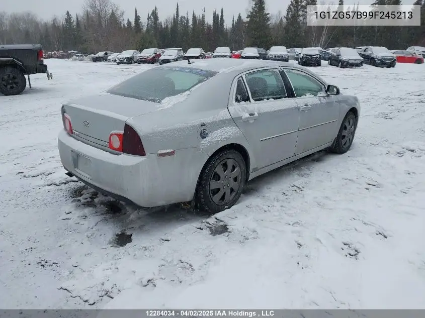 2009 Chevrolet Malibu VIN: 1G1ZG57B99F245213 Lot: 12284034
