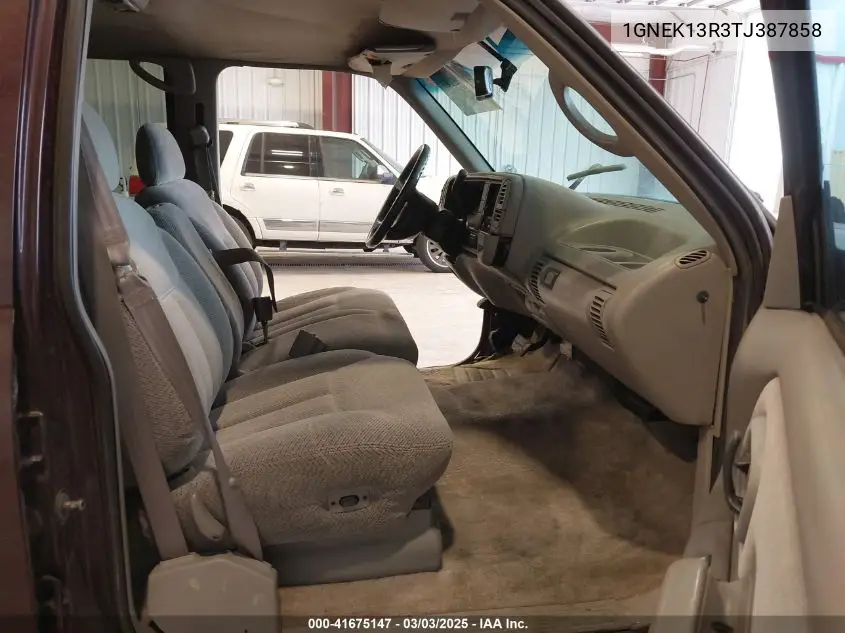1996 Chevrolet Tahoe K1500 VIN: 1GNEK13R3TJ387858 Lot: 41675147