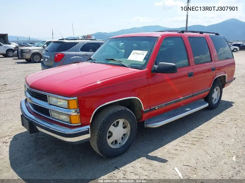 1996 Chevrolet Tahoe C1500 VIN: 1GNEC13R0TJ307901 Lot: 42541134