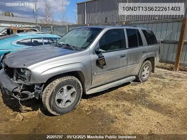 2002 Chevrolet Trailblazer Lt VIN: 1GNDT13S622261403 Lot: 20205707
