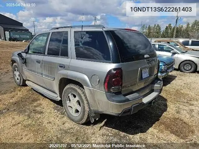 2002 Chevrolet Trailblazer Lt VIN: 1GNDT13S622261403 Lot: 20205707