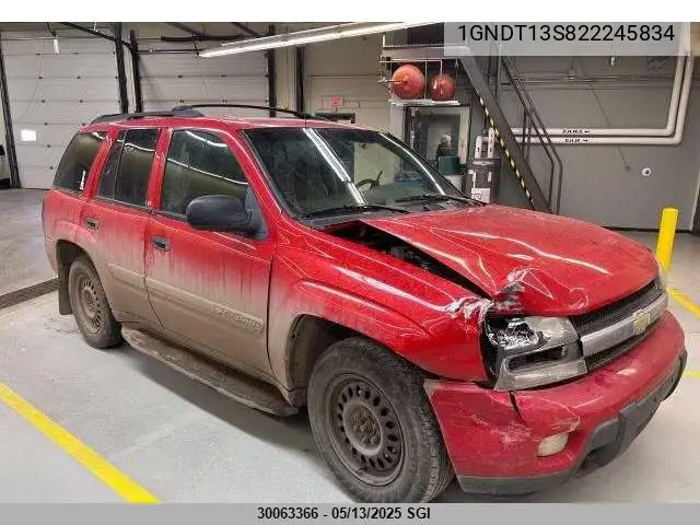 2002 Chevrolet Trailblazer VIN: 1GNDT13S822245834 Lot: 30063366