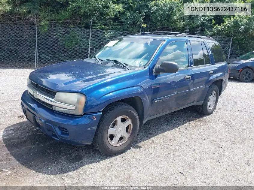 2002 Chevrolet Trailblazer Ls VIN: 1GNDT13S622437186 Lot: 42646255
