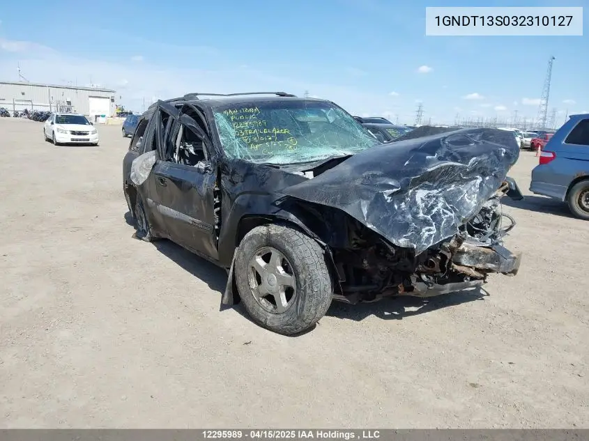 2003 Chevrolet Trailblazer VIN: 1GNDT13S032310127 Lot: 12295989