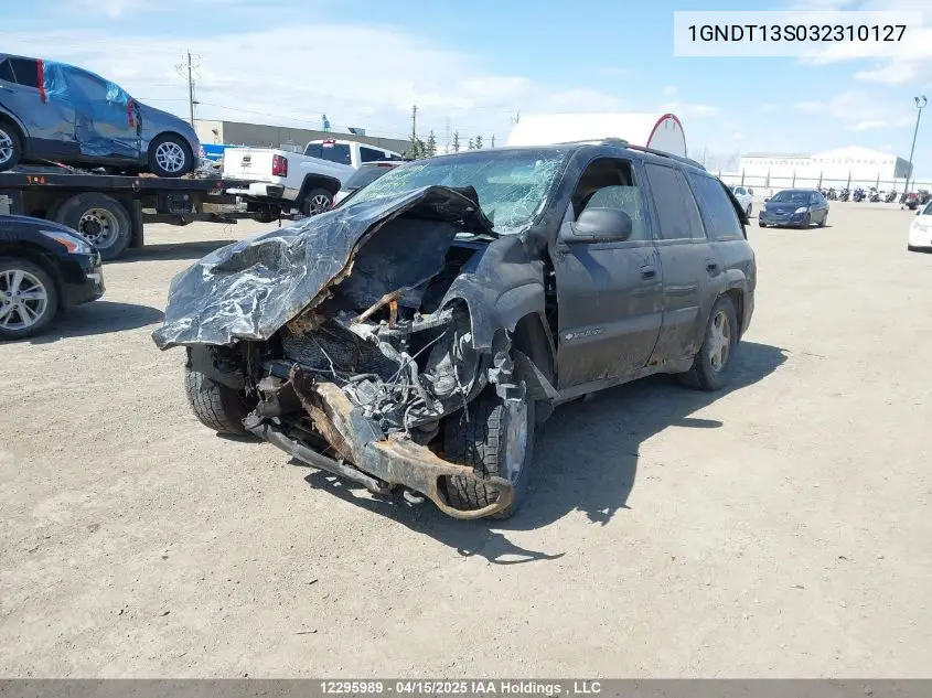 2003 Chevrolet Trailblazer VIN: 1GNDT13S032310127 Lot: 12295989