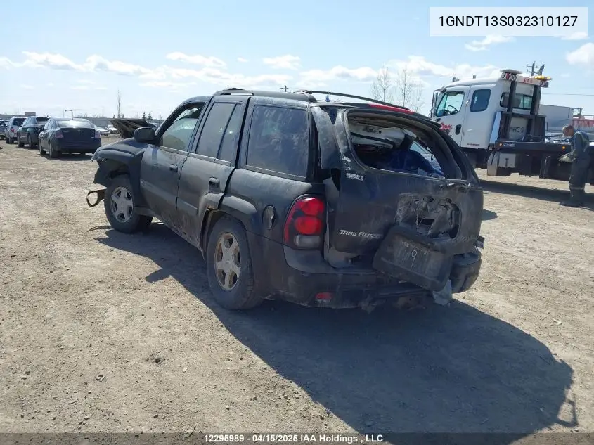 2003 Chevrolet Trailblazer VIN: 1GNDT13S032310127 Lot: 12295989