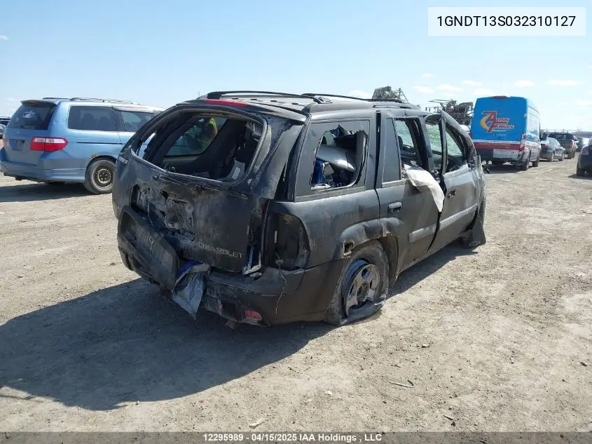 2003 Chevrolet Trailblazer VIN: 1GNDT13S032310127 Lot: 12295989