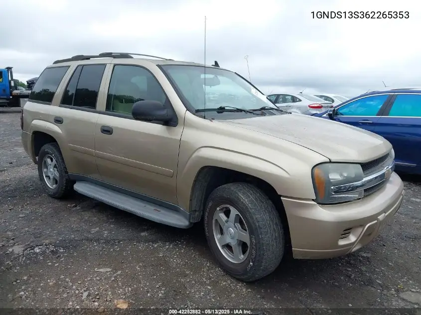 2006 Chevrolet Trailblazer Ls VIN: 1GNDS13S362265353 Lot: 42252882