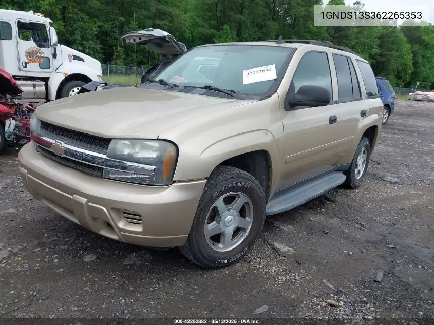 2006 Chevrolet Trailblazer Ls VIN: 1GNDS13S362265353 Lot: 42252882