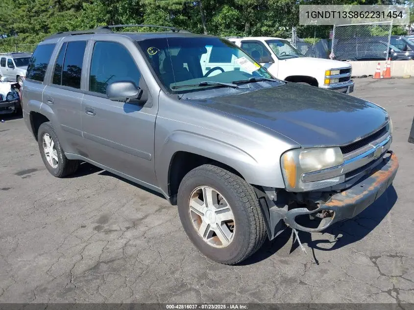 2006 Chevrolet Trailblazer Ls VIN: 1GNDT13S862231454 Lot: 42816037
