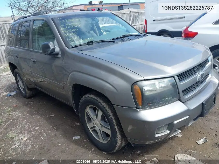 2008 Chevrolet Trailblazer Ls/Lt VIN: 1GNDS13S282226787 Lot: 12306065