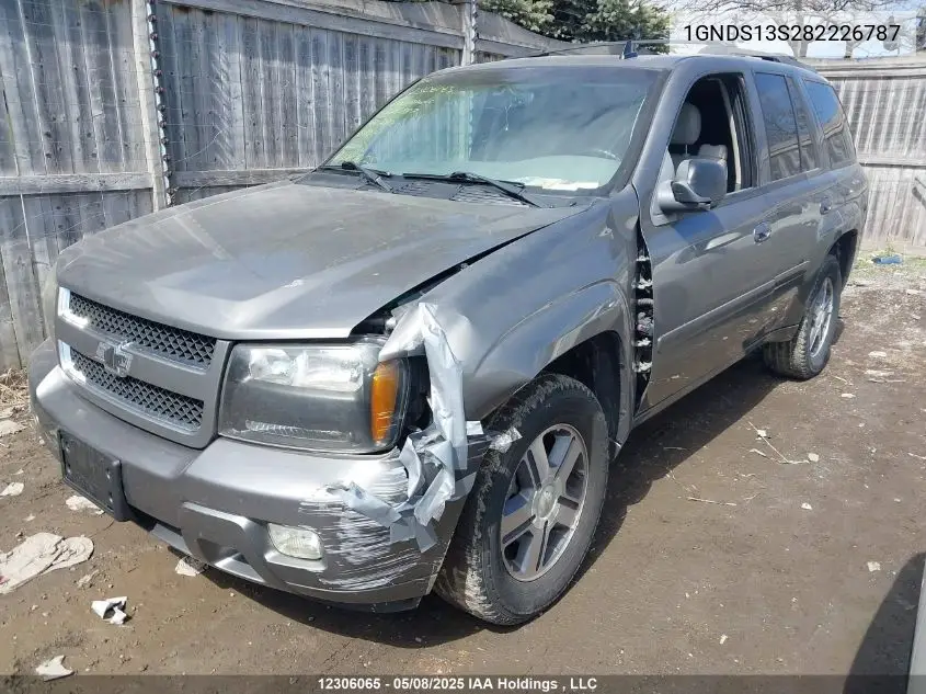 2008 Chevrolet Trailblazer Ls/Lt VIN: 1GNDS13S282226787 Lot: 12306065