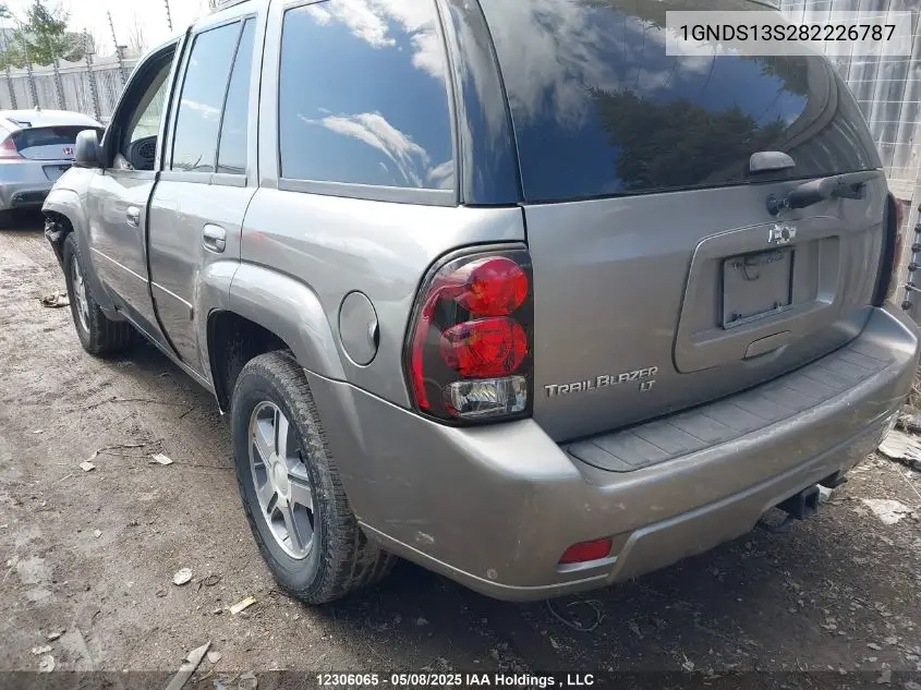 2008 Chevrolet Trailblazer Ls/Lt VIN: 1GNDS13S282226787 Lot: 12306065