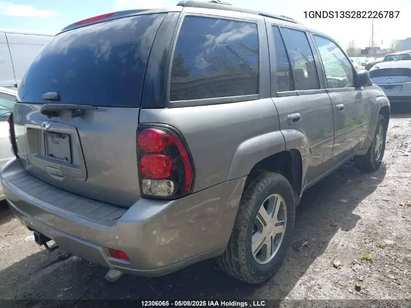 2008 Chevrolet Trailblazer Ls/Lt VIN: 1GNDS13S282226787 Lot: 12306065