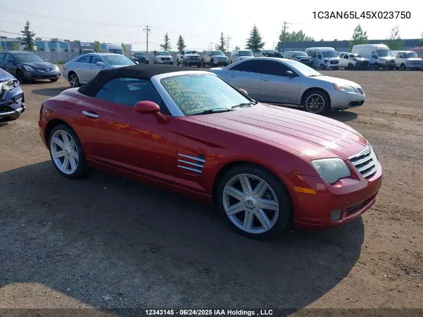 2005 Chrysler Crossfire Limited VIN: 1C3AN65L45X023750 Lot: 12343145