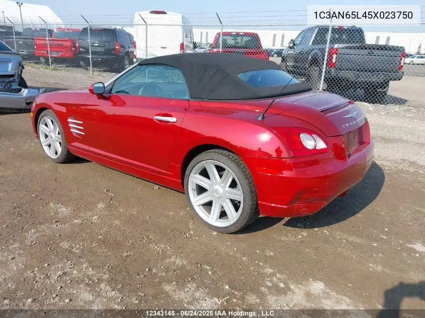2005 Chrysler Crossfire Limited VIN: 1C3AN65L45X023750 Lot: 12343145
