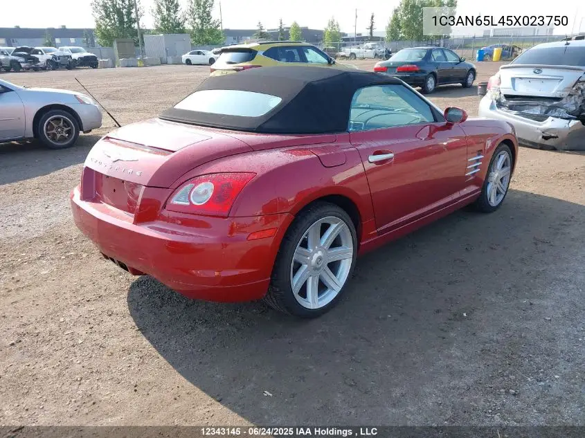 2005 Chrysler Crossfire Limited VIN: 1C3AN65L45X023750 Lot: 12343145
