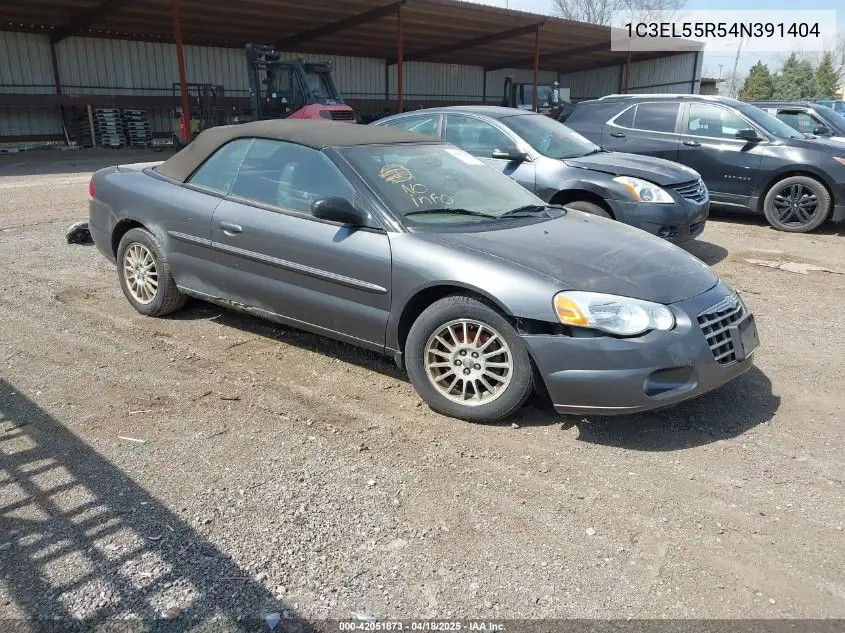 2004 Chrysler Sebring Lxi VIN: 1C3EL55R54N391404 Lot: 42051873