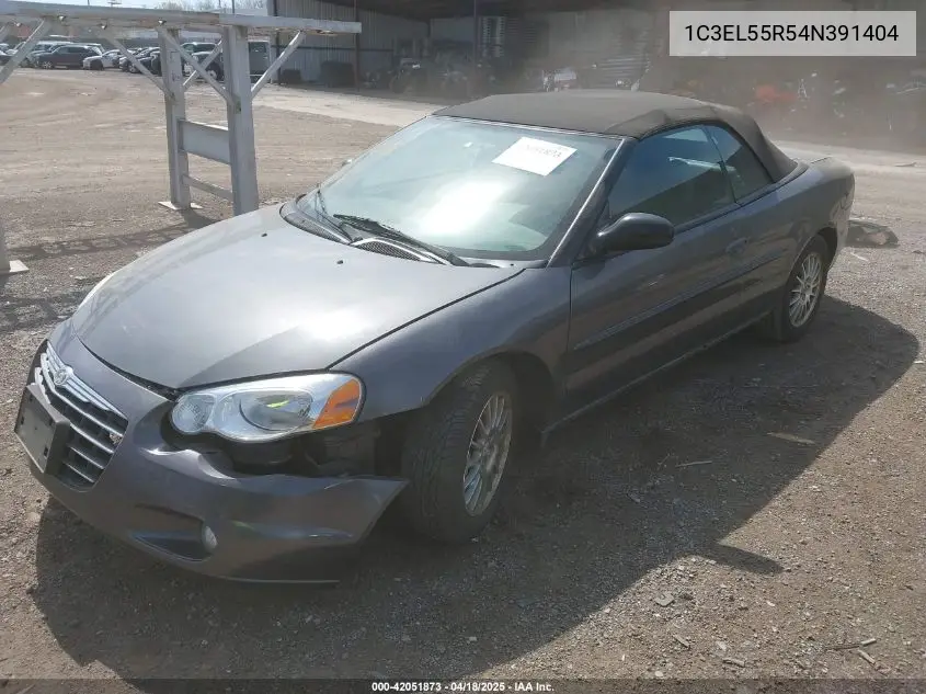 2004 Chrysler Sebring Lxi VIN: 1C3EL55R54N391404 Lot: 42051873