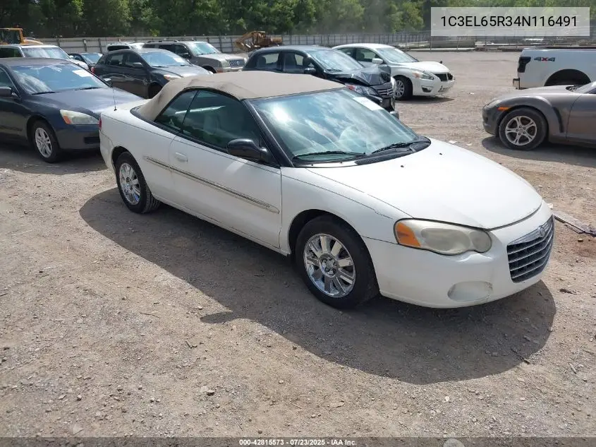 2004 Chrysler Sebring Limited VIN: 1C3EL65R34N116491 Lot: 42815573