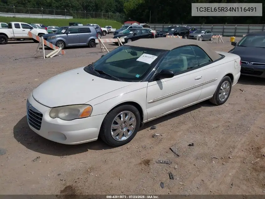 2004 Chrysler Sebring Limited VIN: 1C3EL65R34N116491 Lot: 42815573