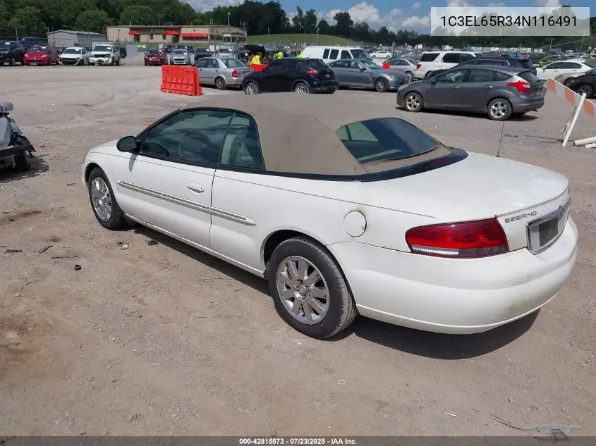 2004 Chrysler Sebring Limited VIN: 1C3EL65R34N116491 Lot: 42815573