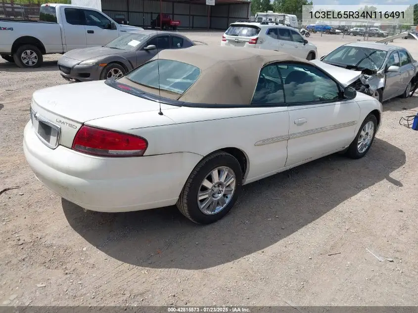 2004 Chrysler Sebring Limited VIN: 1C3EL65R34N116491 Lot: 42815573