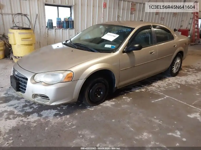 2005 Chrysler Sebring Touring VIN: 1C3EL56R45N641604 Lot: 42222382