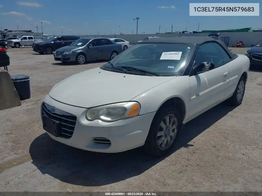 2005 Chrysler Sebring Gtc VIN: 1C3EL75R45N579683 Lot: 42309901