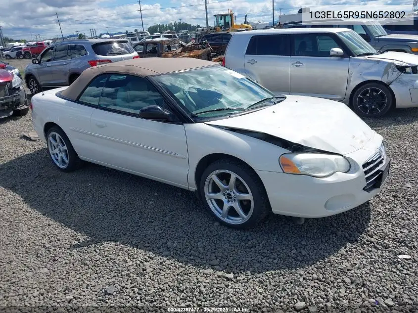 2005 Chrysler Sebring Limited VIN: 1C3EL65R95N652802 Lot: 42367477