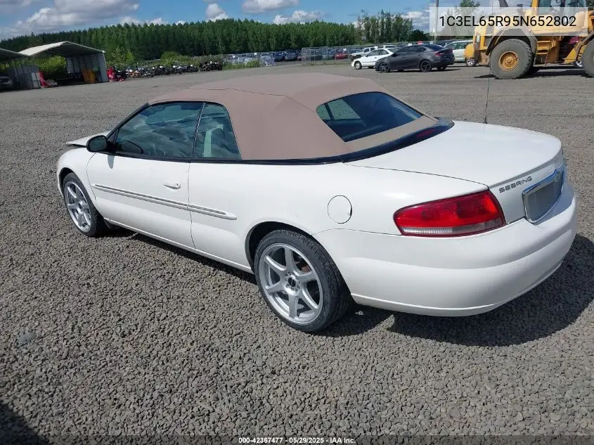 2005 Chrysler Sebring Limited VIN: 1C3EL65R95N652802 Lot: 42367477
