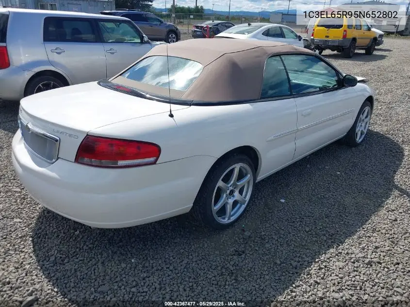 2005 Chrysler Sebring Limited VIN: 1C3EL65R95N652802 Lot: 42367477