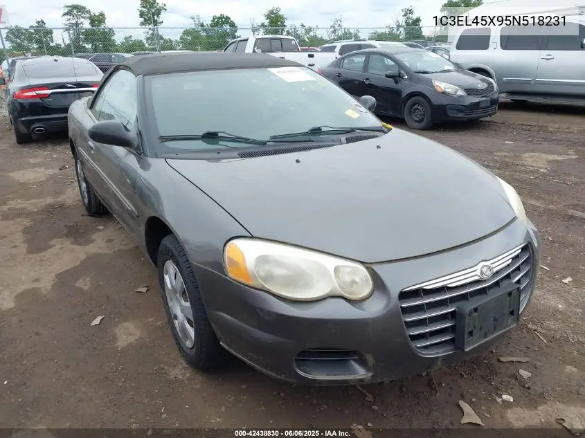 2005 Chrysler Sebring VIN: 1C3EL45X95N518231 Lot: 42438830