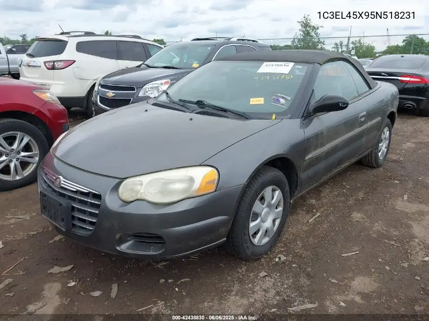 2005 Chrysler Sebring VIN: 1C3EL45X95N518231 Lot: 42438830