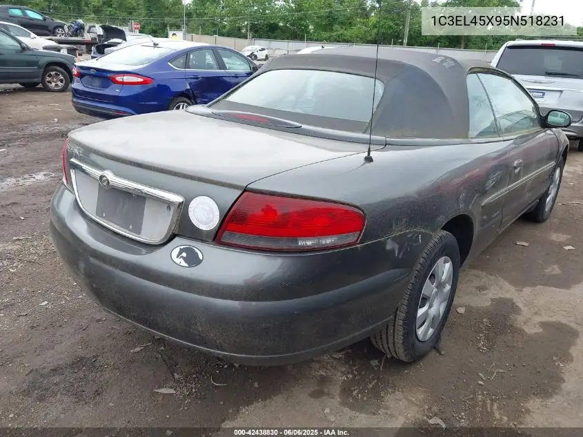 2005 Chrysler Sebring VIN: 1C3EL45X95N518231 Lot: 42438830