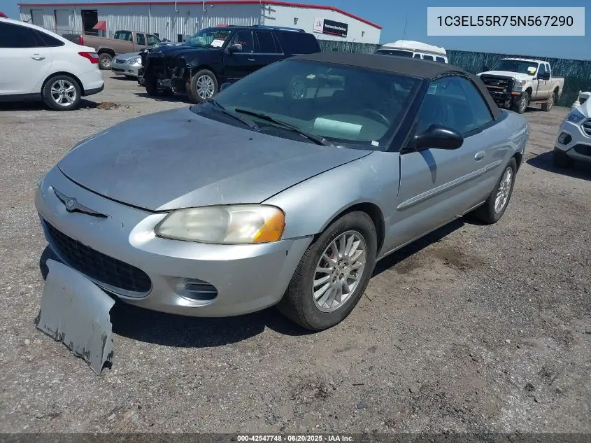 2005 Chrysler Sebring Touring VIN: 1C3EL55R75N567290 Lot: 42547748
