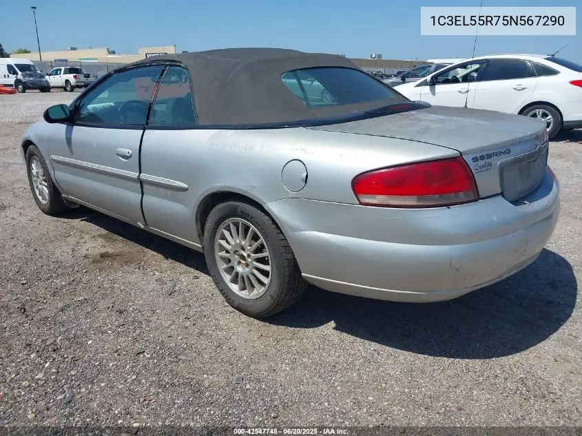 2005 Chrysler Sebring Touring VIN: 1C3EL55R75N567290 Lot: 42547748
