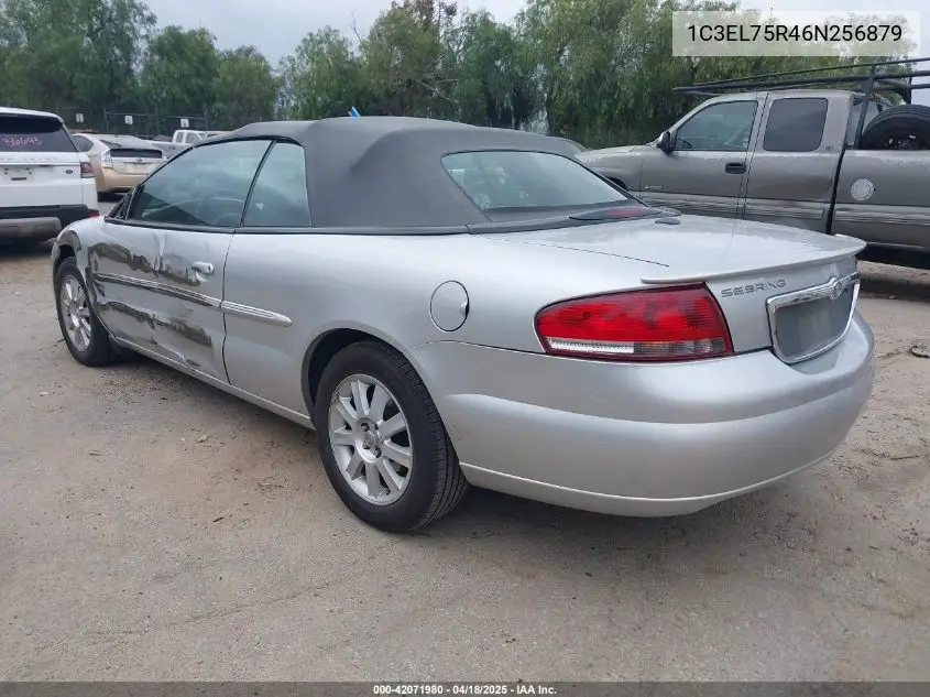 2006 Chrysler Sebring Gtc VIN: 1C3EL75R46N256879 Lot: 42071980