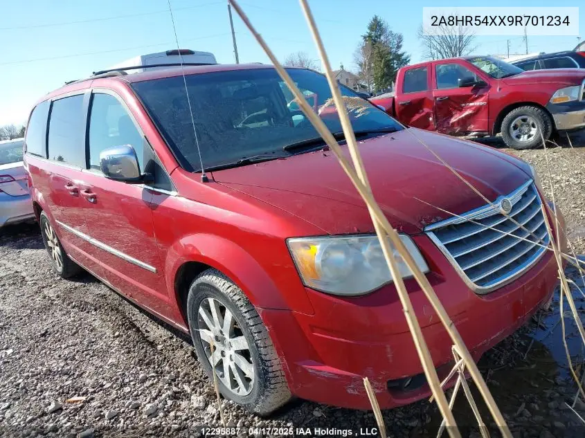 2009 Chrysler Town & Country Touring VIN: 2A8HR54XX9R701234 Lot: 12295887