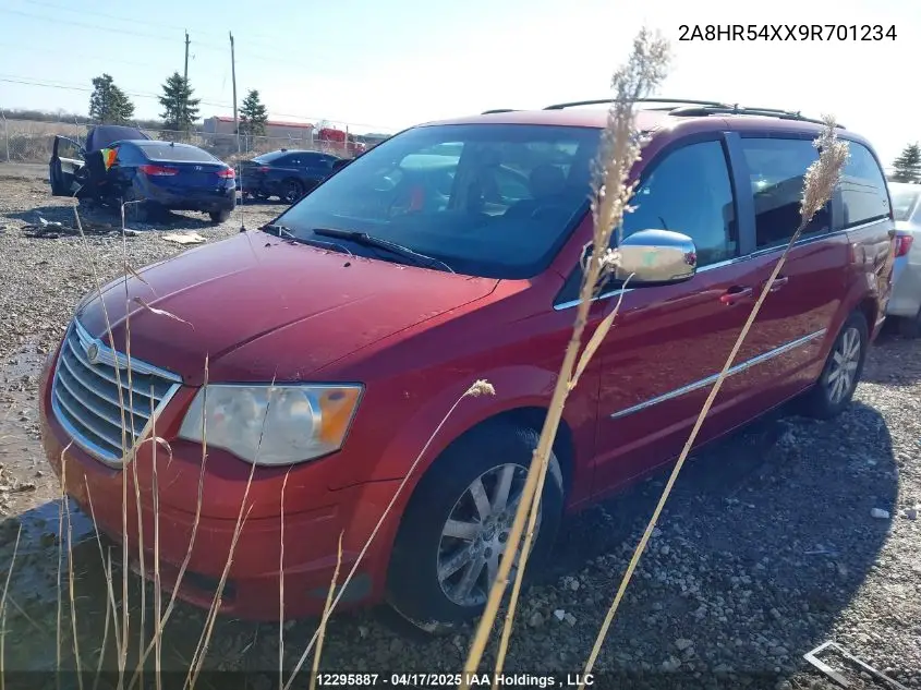 2009 Chrysler Town & Country Touring VIN: 2A8HR54XX9R701234 Lot: 12295887