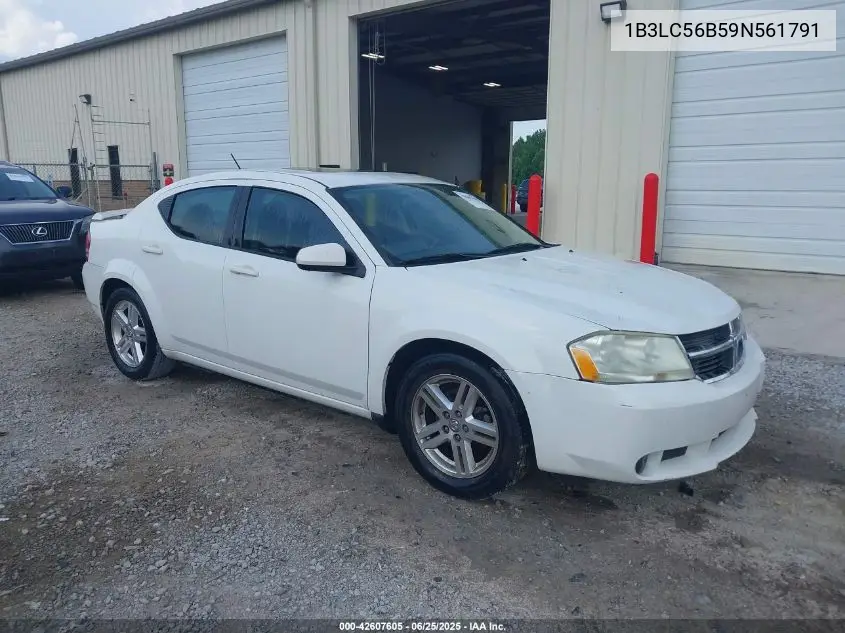 2009 Dodge Avenger Sxt VIN: 1B3LC56B59N561791 Lot: 42607605